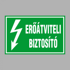 ERŐÁTVITELI BIZTOSÍTÓ