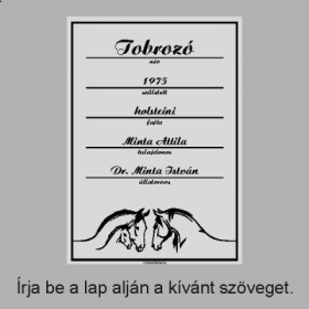 Ló névtábla